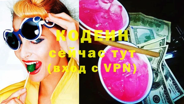 прущие грибы Абаза