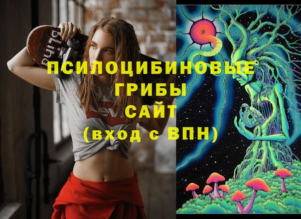 ГАЛЛЮЦИНОГЕННЫЕ ГРИБЫ Алзамай