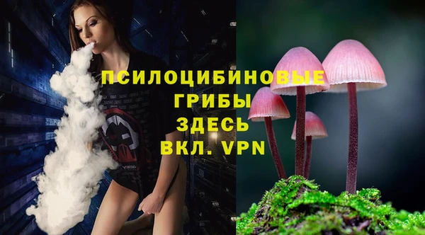 ГАЛЛЮЦИНОГЕННЫЕ ГРИБЫ Алзамай