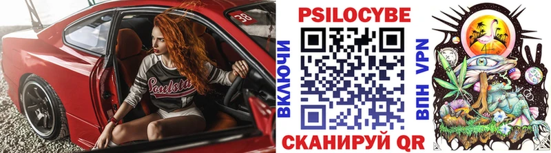 как найти закладки  Конаково  Галлюциногенные грибы Cubensis 